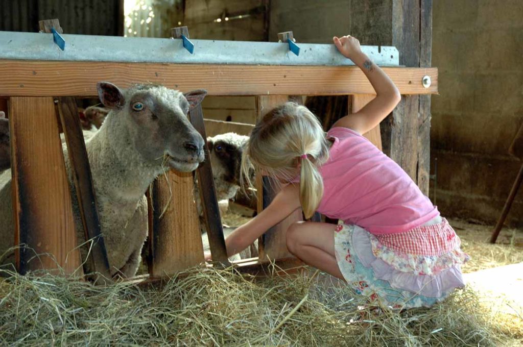 camping avec ferme en Vendée